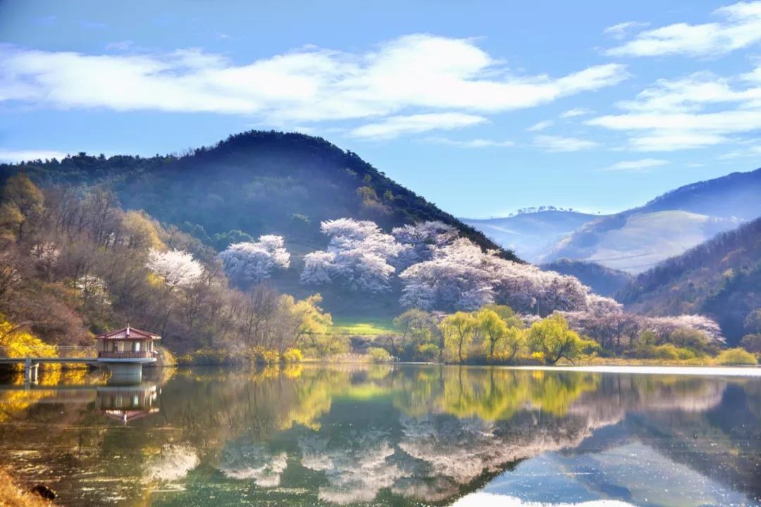 通用GE文化简史| 再读《飘》感受19世纪历久不衰的爱情 通用GE文化简史| 再读《飘》感受19世纪历久不衰的爱情